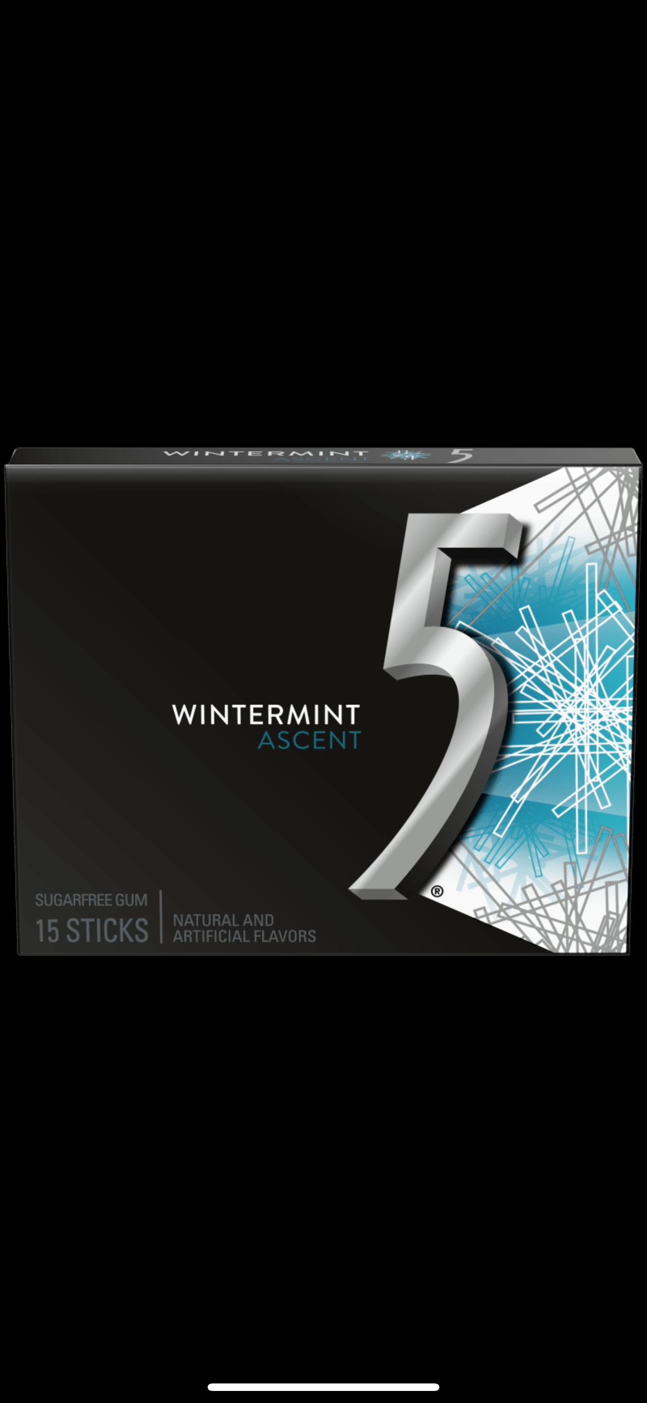 5GUM Wintermint  10 pack